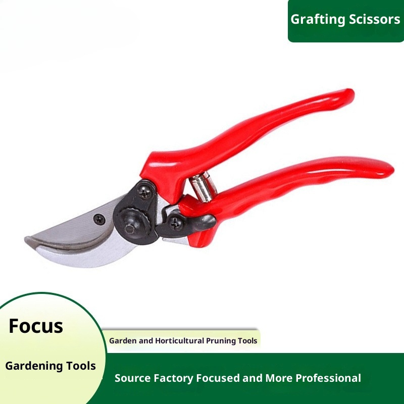Gardening Tools Quality - Premium Veredelungs- und Gartenscheren: Importierte Qualität