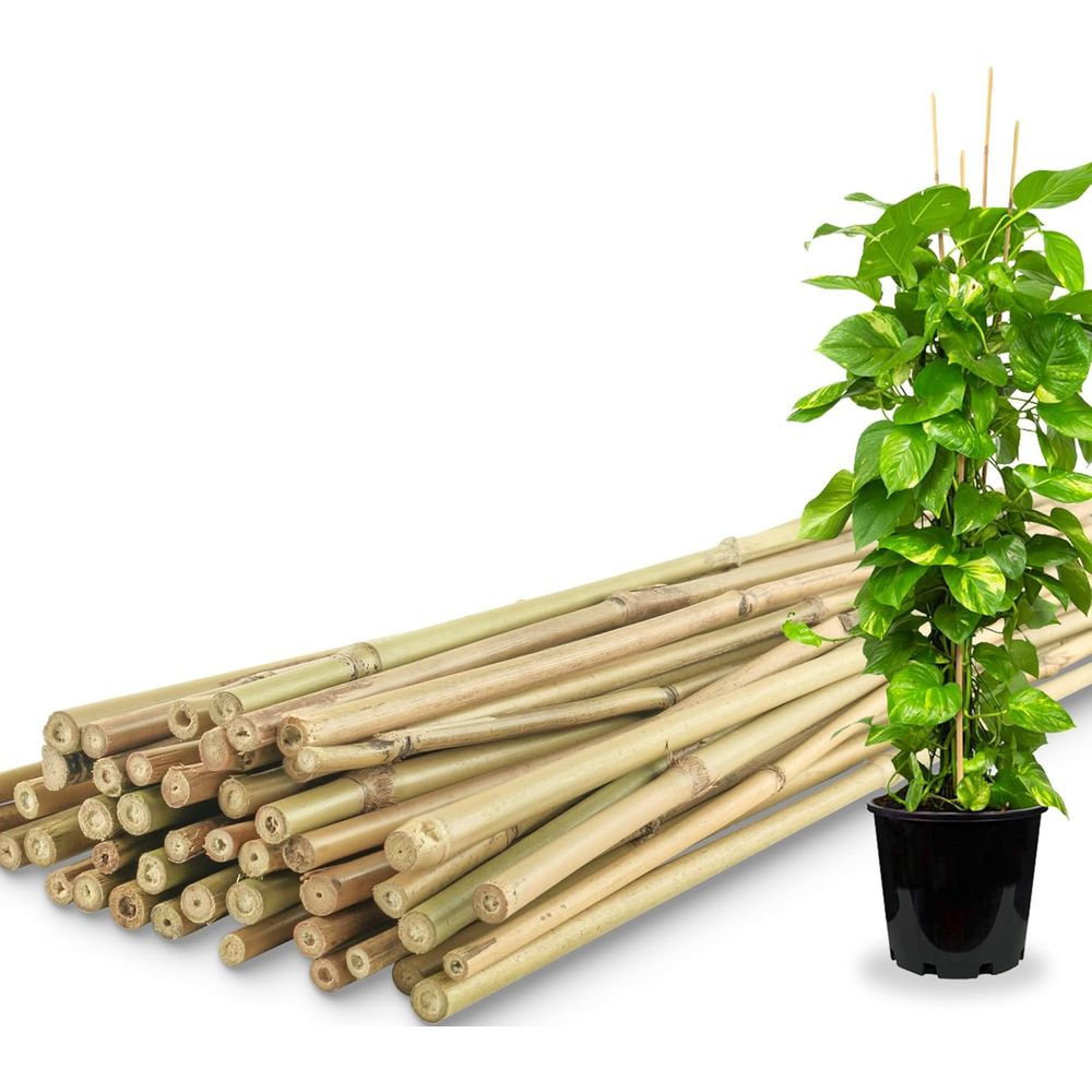 Plant Support Stake - 50er-Pack Bambus-Pflanzenstäbe für Innen- und Außengärten,