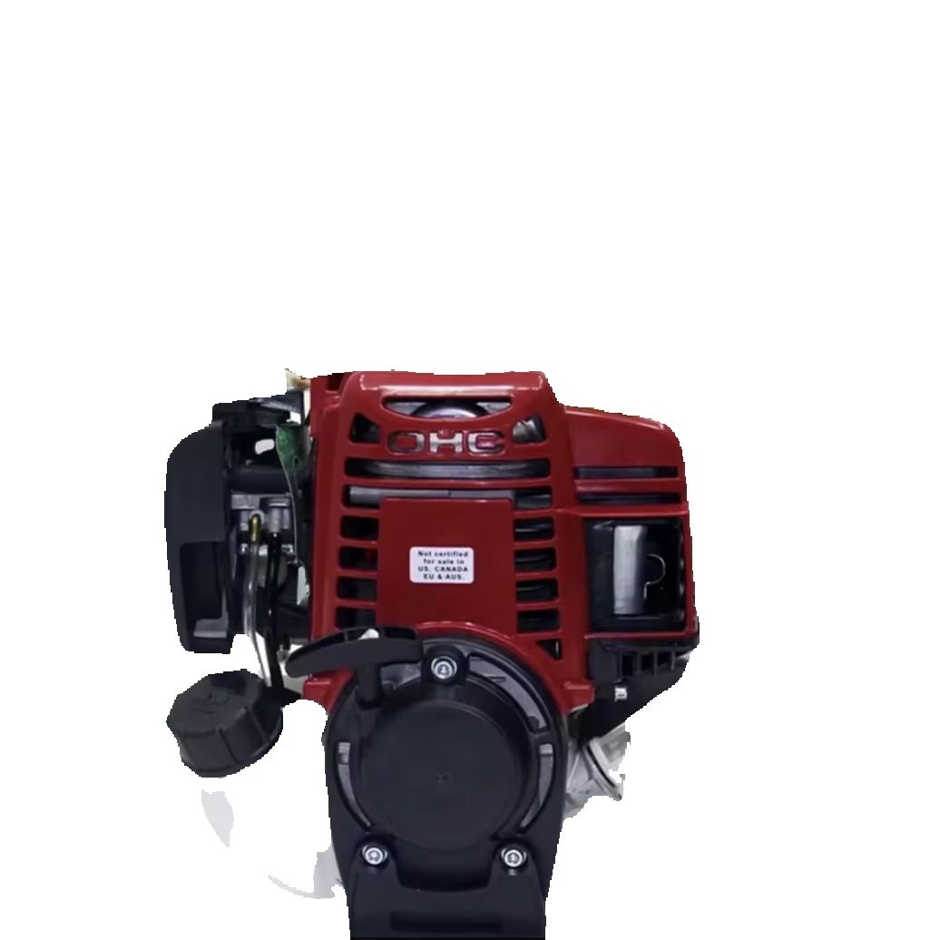 Gardening Tools Types - 140cc 4-Takt Leistungsstarker Benzinmotor für Schiebe-Rasenmäher