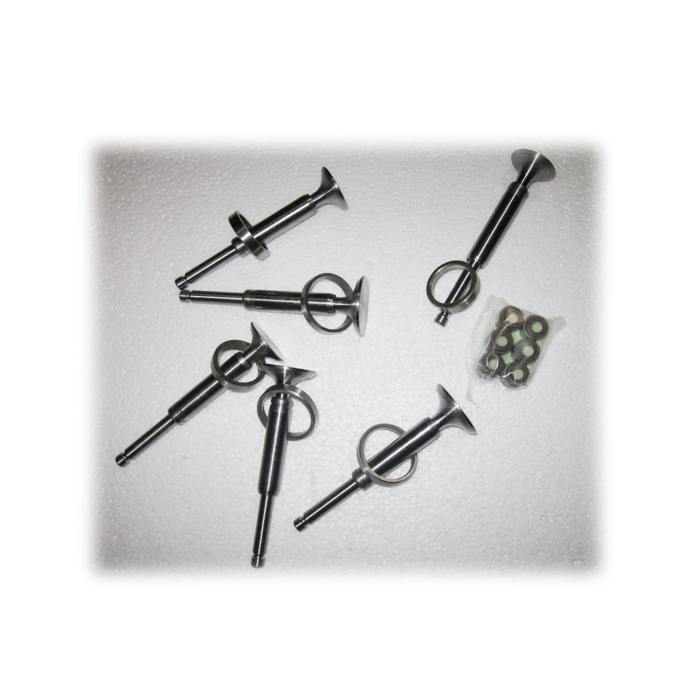 Gardening Tools Guide - KM385BT, Ventilgruppen-Set mit Ventilen, Ventilführungen, Ventilschaften