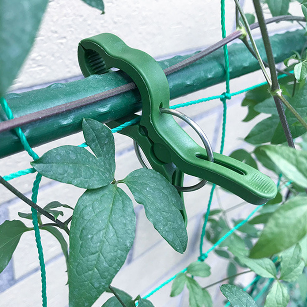 Plant Support Stake - 60 Stück Gartenpflanzenklammern aus Kunststoff zur