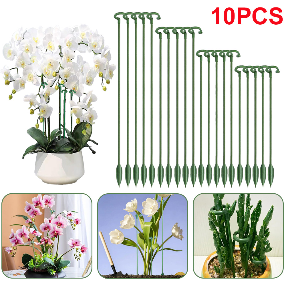 Plant Support Stake - 5/10 Stück Pflanzenstützstäbe, Blumentopf-Befestigungshalter für Orchideen,