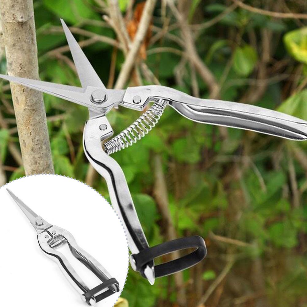 Gardening Hand Tools Yard - Gartenschere für Rosen, Pflanzen und Obst