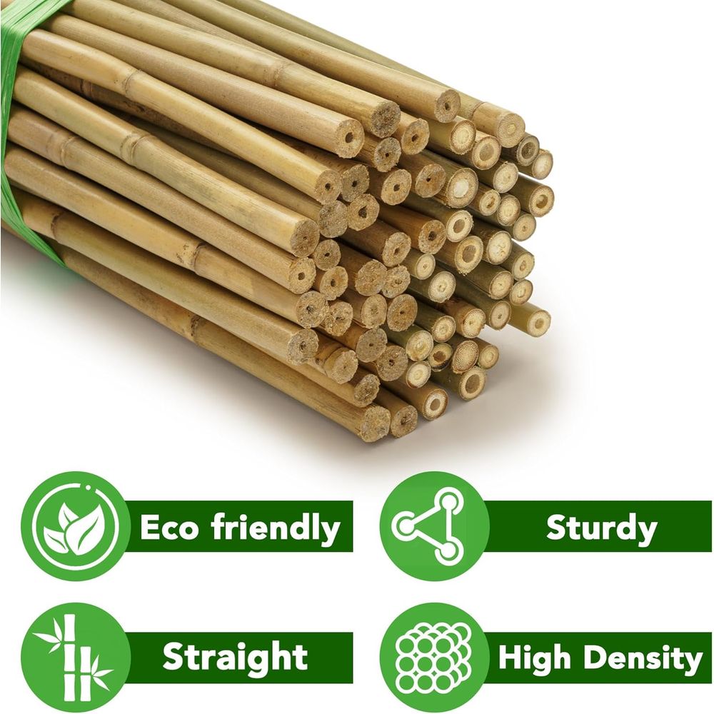 70er-Pack 4-Fuß Natürliche Bam – Plant Support Stake Bewertung und Preis