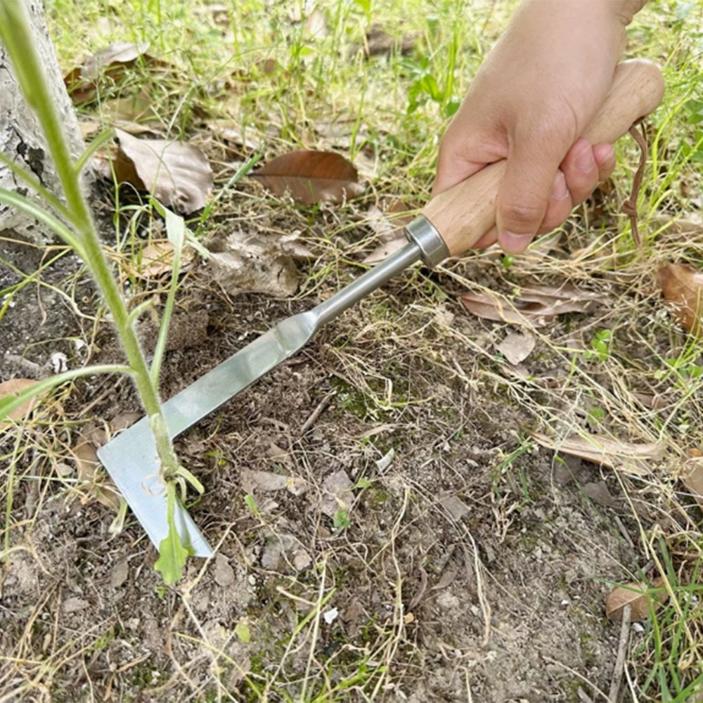 Edelstahl-Unkrautentfernungswe – Gardening Hand Tools Yard Bewertung und Preis