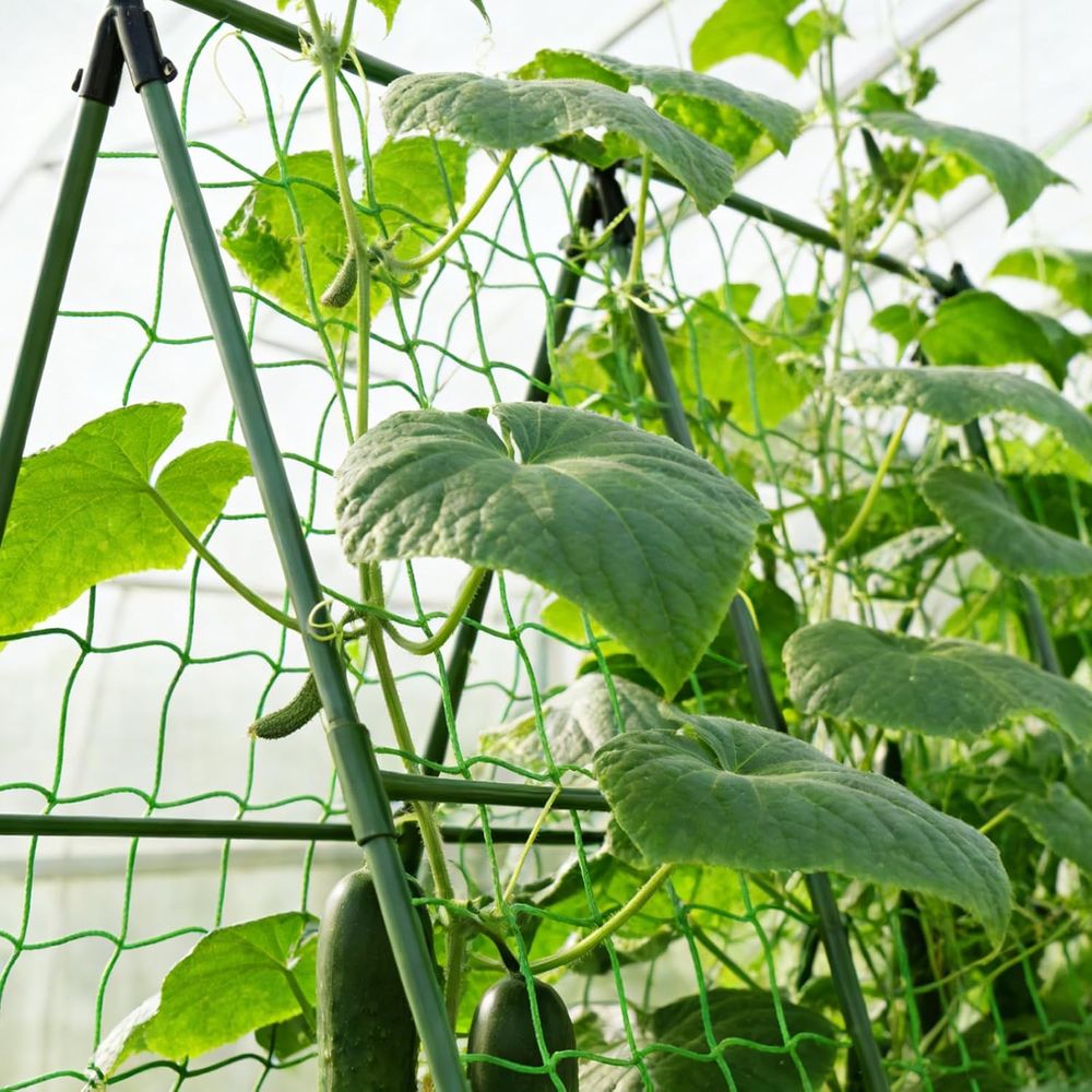 50er-Pack 58-Zoll Tomatenpflan – Plant Support Stake Bewertung und Preis