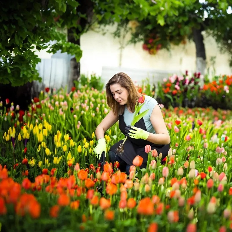2-in-1 Gartenrechen: Manueller – Gardening Tools For Weeds Bewertung und Preis