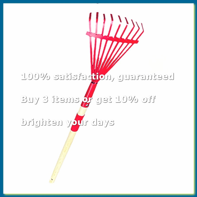 Kinderrechen mit Hartholzgriff – Gardening Tools For 3 Year Old Bewertung und Preis