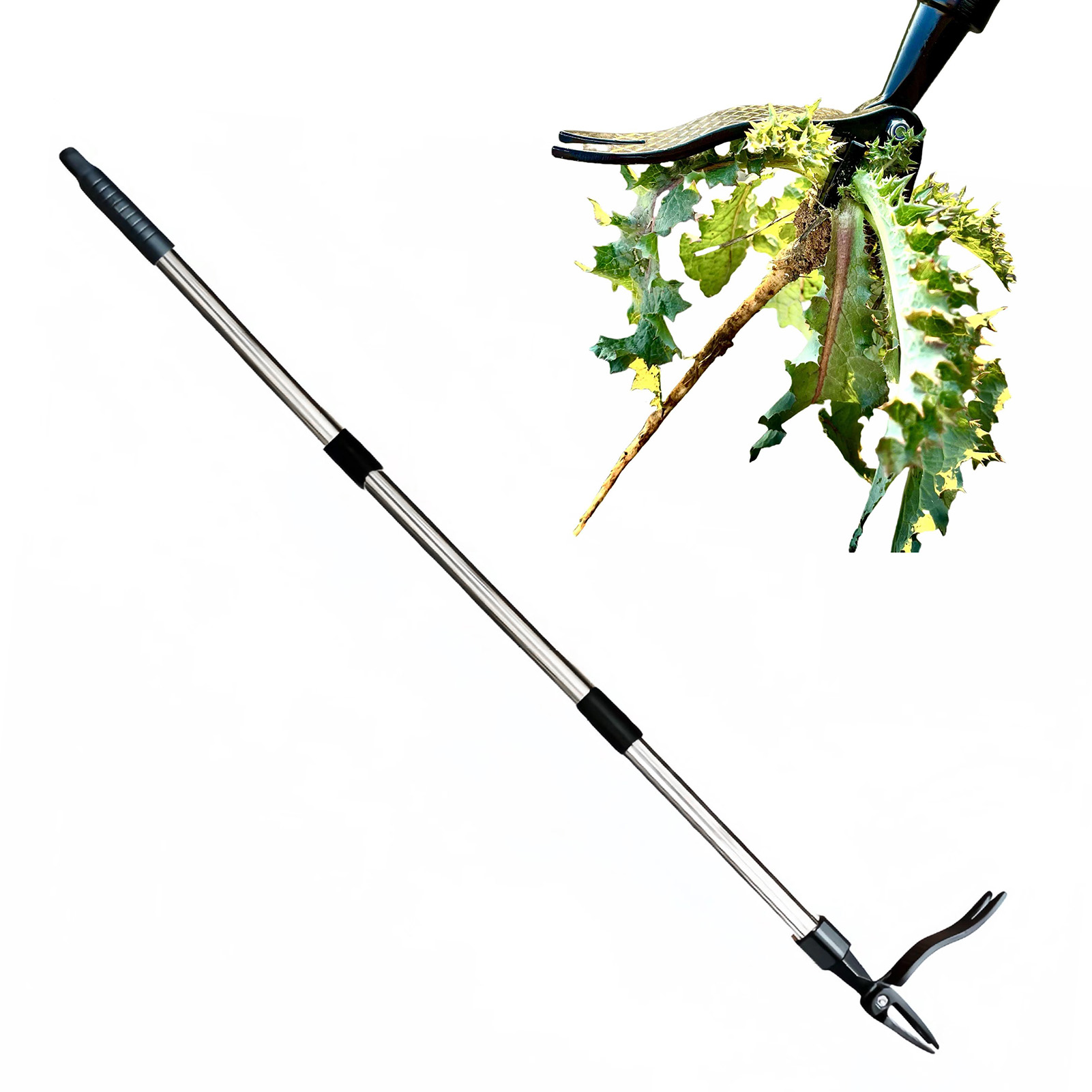 4-Klauen-Stand-Up-Unkrautziehe – Gardening Hand Tools Yard Bewertung und Preis
