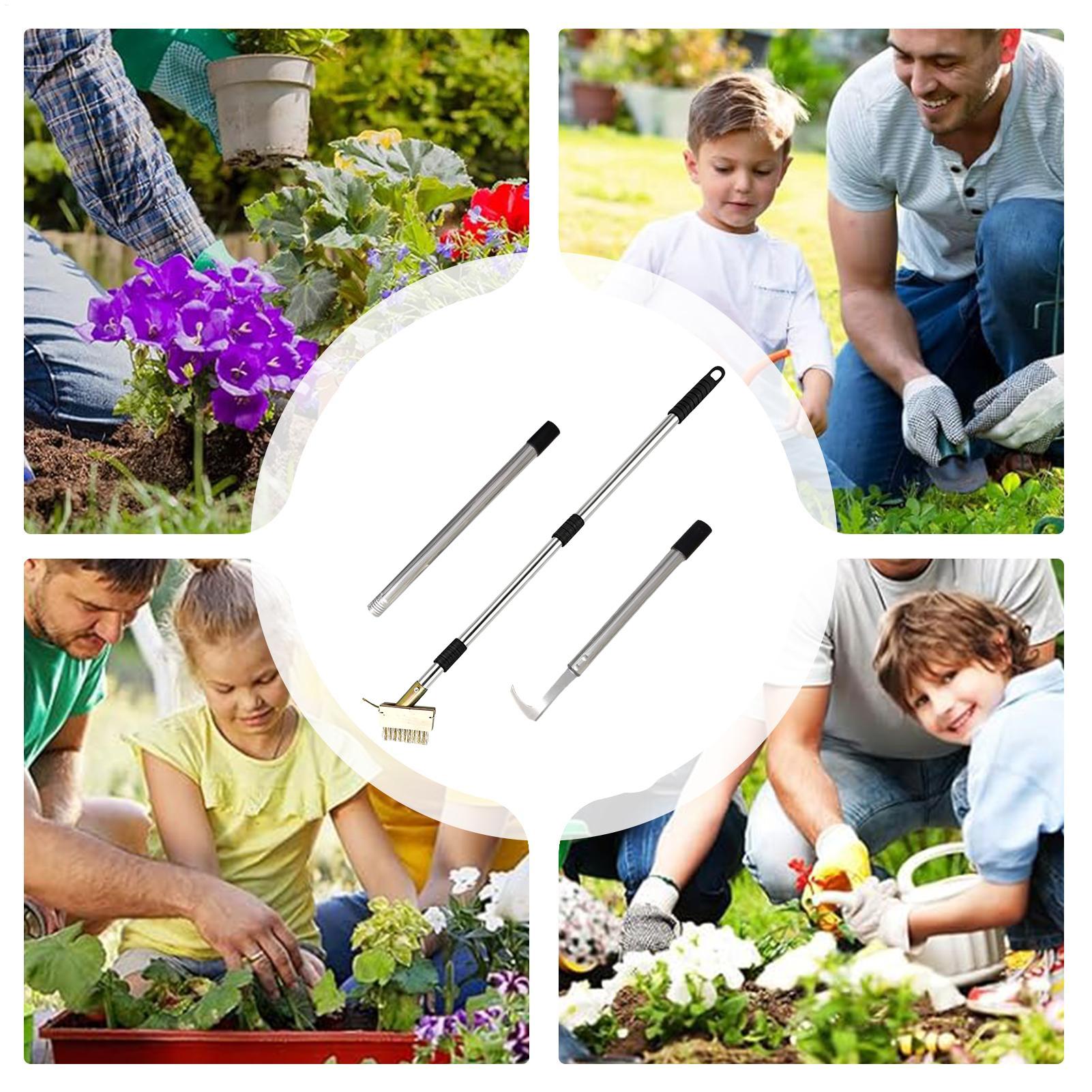 Ritzenentferner aus Stahl mit  – Gardening Hand Tools Yard Bewertung und Preis
