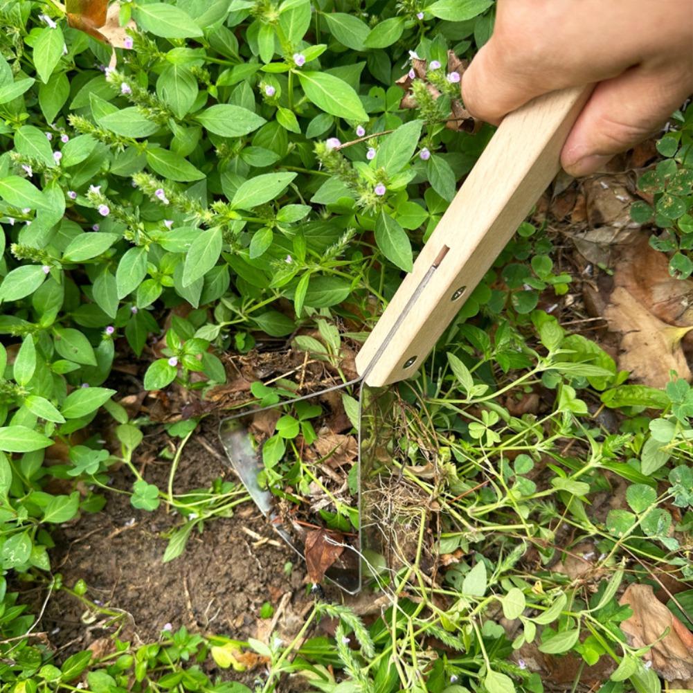 Grasschaber-Werkzeug, manuelle – Gardening Hand Tools Yard Bewertung und Preis