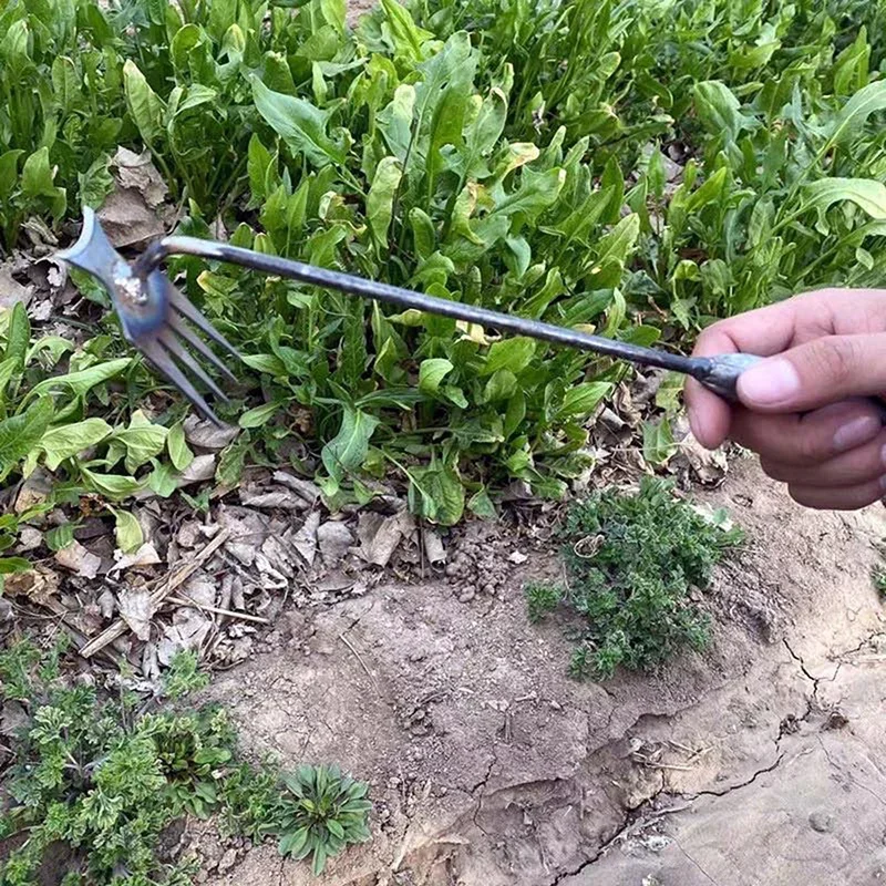 Garten-Unkrautjäter aus Mangan – Gardening Tools For Weeds Bewertung und Preis