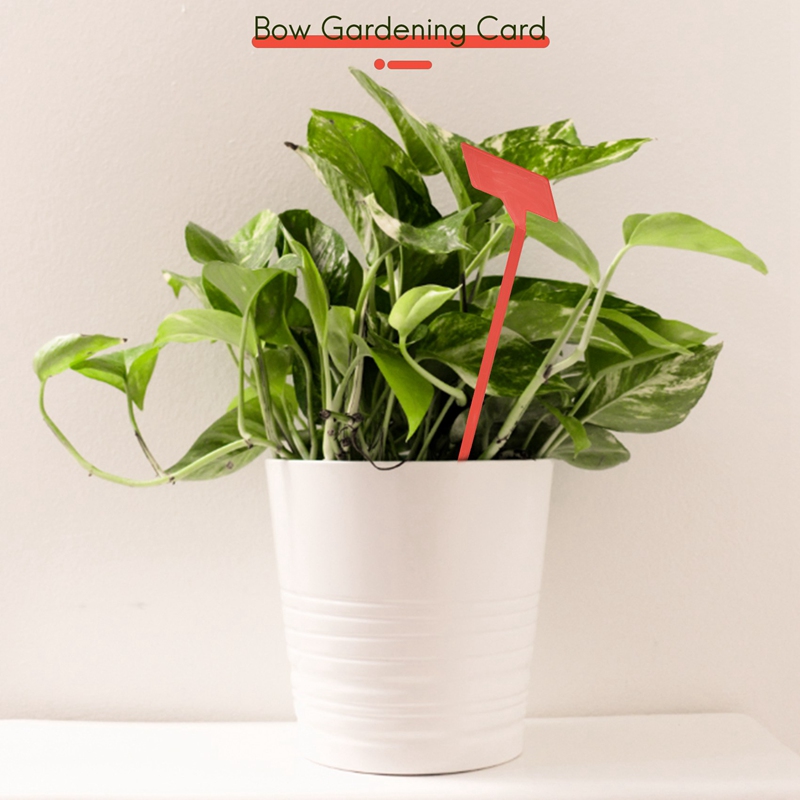 ABYP Gardens Pflanzwerkzeuge,  – Gardening Tools Types Bewertung und Preis