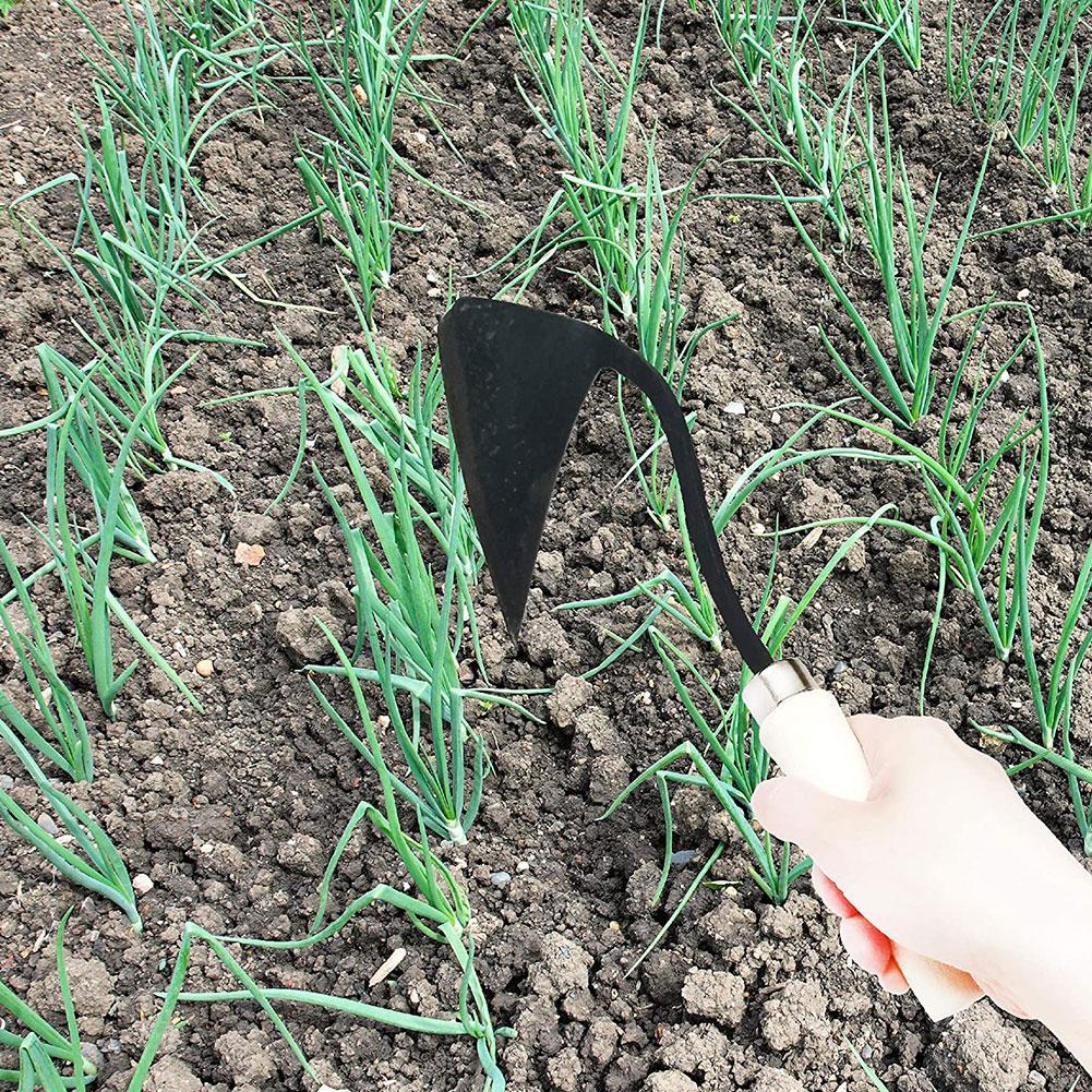 Landwirtschaft liche Werkzeuge – Gardening Tools For Weeds Bewertung und Preis
