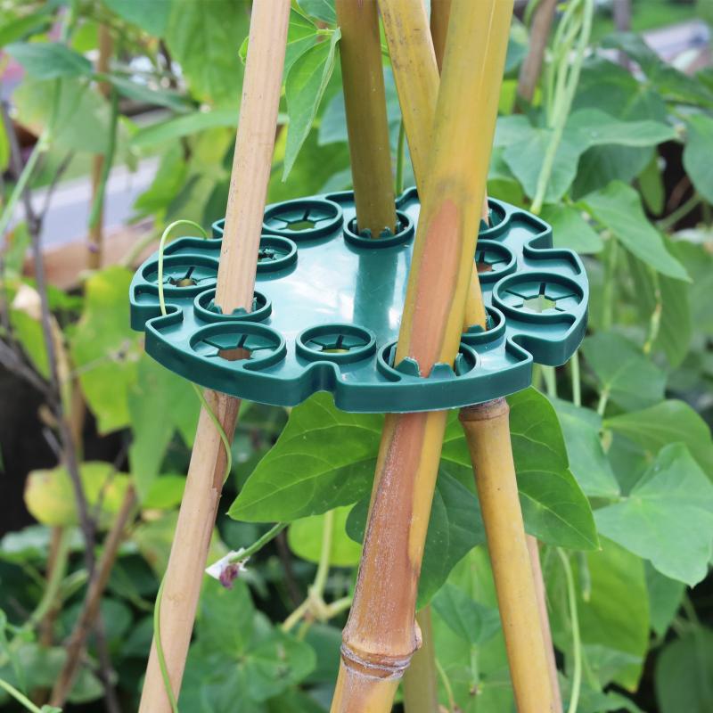 Garten-Rankgitter aus Kunststo – Plant Support Stake Bewertung und Preis