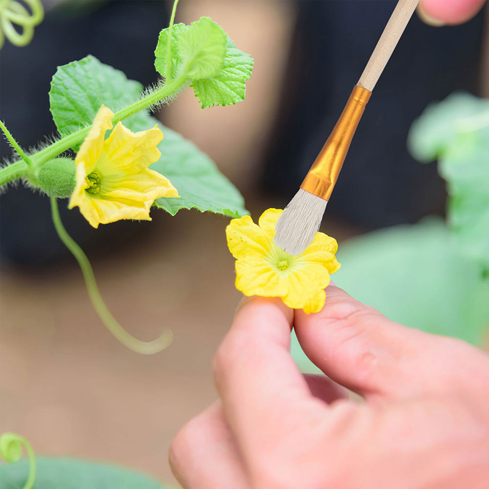 16-teiliges Blütenpollinator-B – Gardening Tools Kit Bewertung und Preis