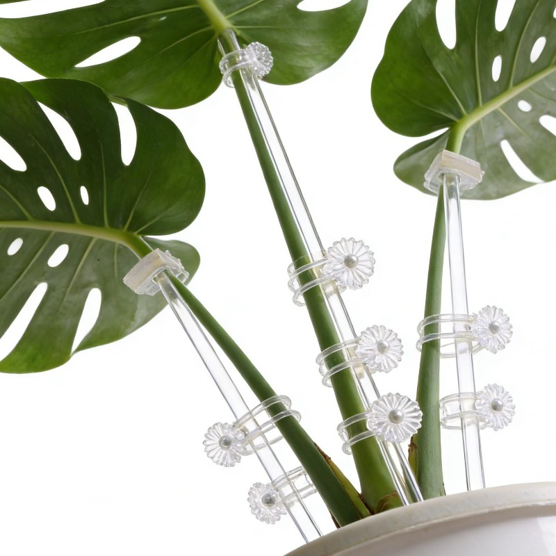 Wiederverwendbare Transparente – Plant Support Stake Bewertung und Preis
