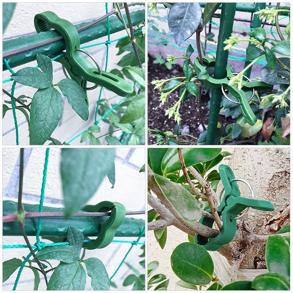 60 Stück Gartenpflanzenklammer – Plant Support Stake Bewertung und Preis