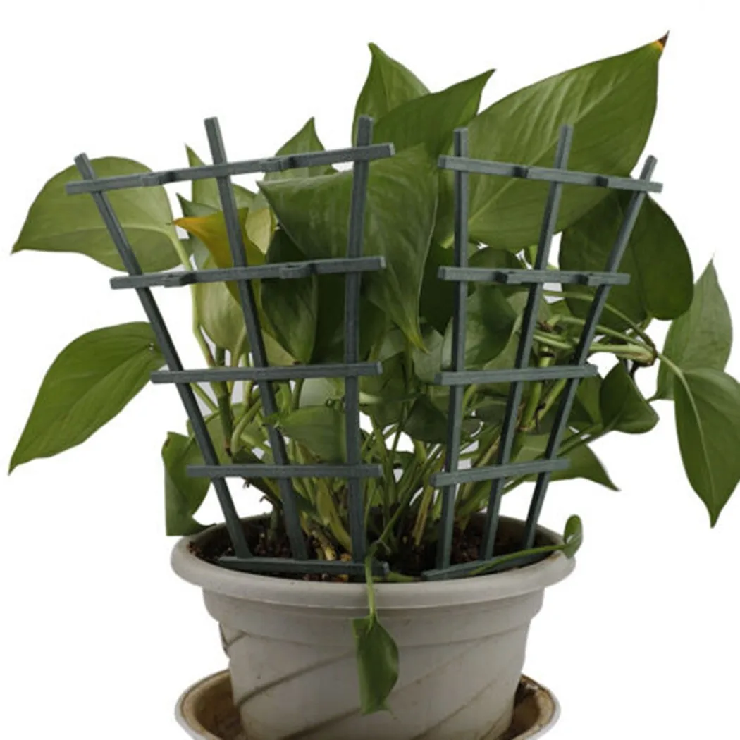 Praktische, brandneue Pflanzen – Plant Support Stake Bewertung und Preis