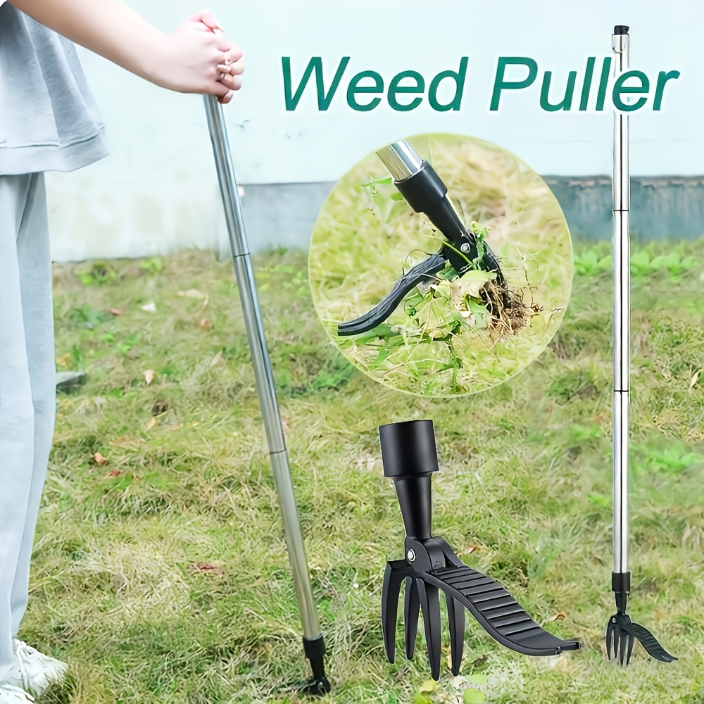 1 Stück Hochleistungs-Unkraute – Gardening Tools For Weeds Bewertung und Preis