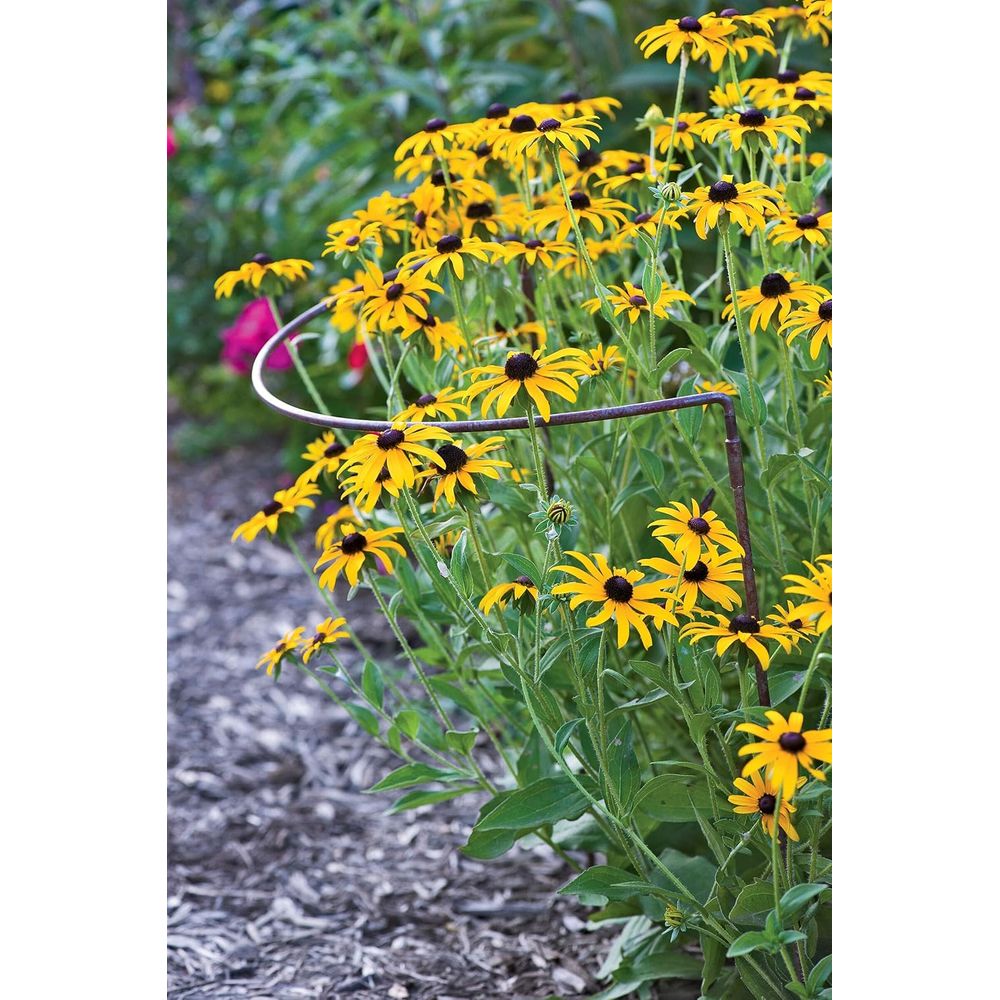 Metall-Gartenpflanzenstäbe |   – Plant Support Stake Bewertung und Preis
